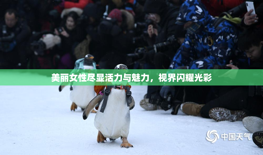 美丽女性尽显活力与魅力，视界闪耀光彩