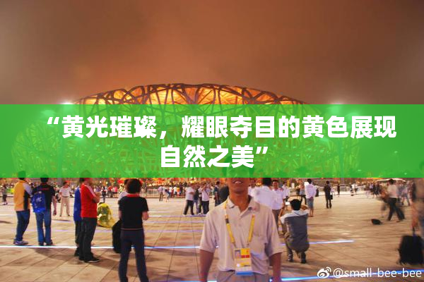 “黄光璀璨，耀眼夺目的黄色展现自然之美”