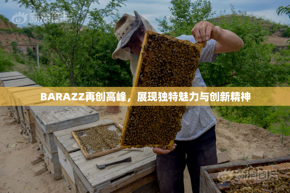 BARAZZ再创高峰，展现独特魅力与创新精神
