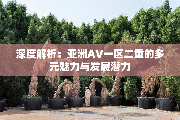 深度解析：亚洲AV一区二重的多元魅力与发展潜力