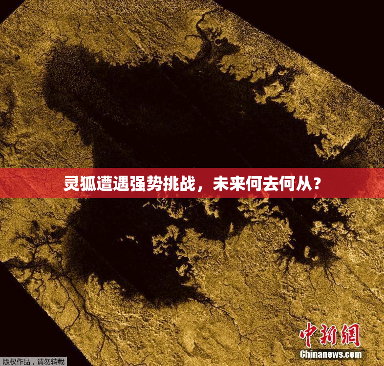 灵狐遭遇强势挑战，未来何去何从？