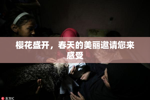 樱花盛开，春天的美丽邀请您来感受