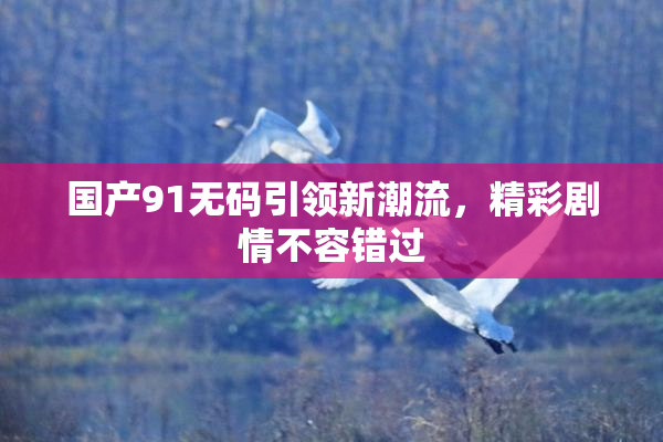 国产91无码引领新潮流，精彩剧情不容错过