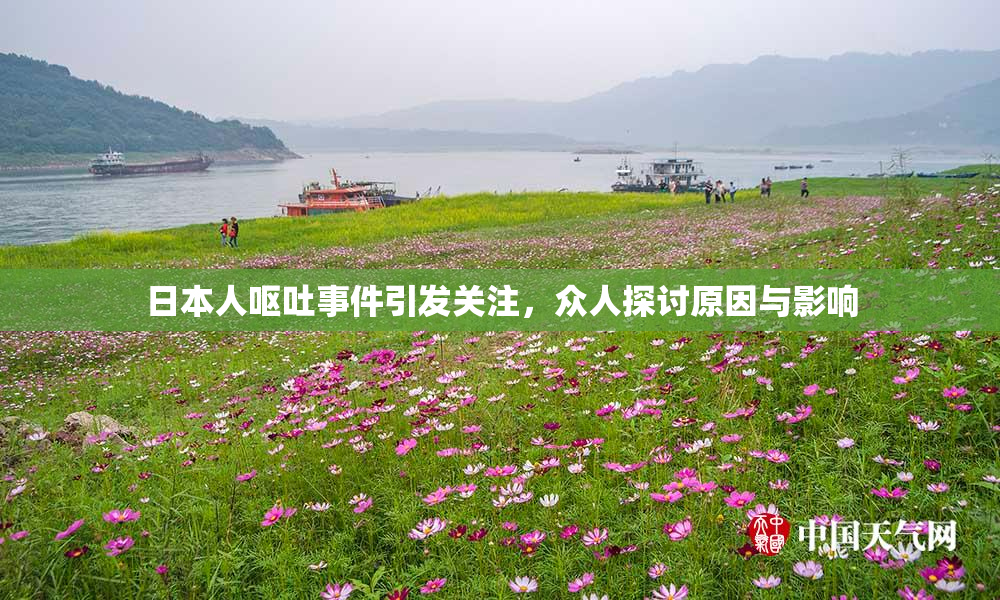 日本人呕吐事件引发关注，众人探讨原因与影响