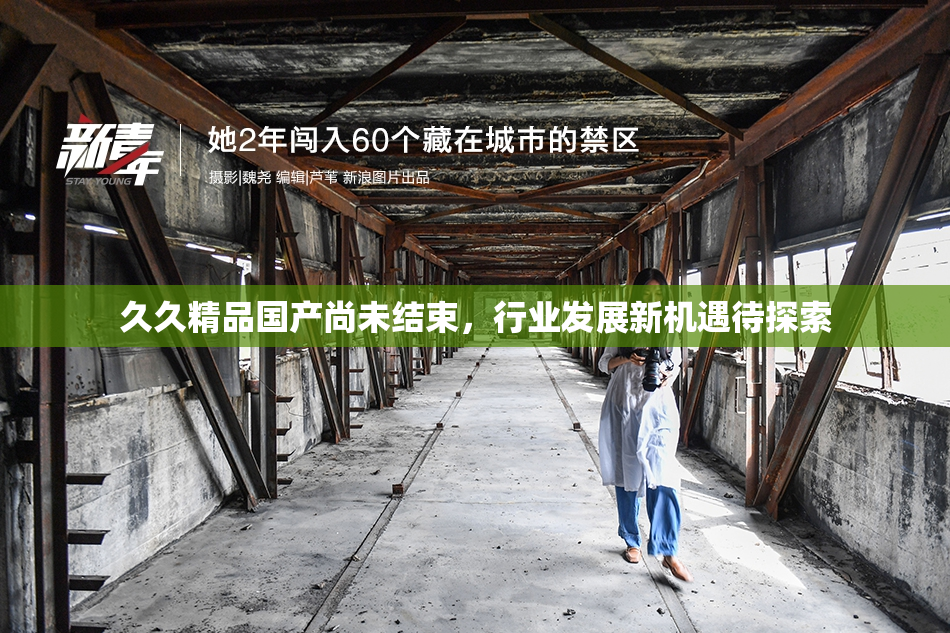 久久精品国产尚未结束，行业发展新机遇待探索