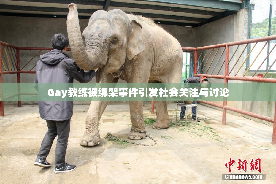 Gay教练被绑架事件引发社会关注与讨论