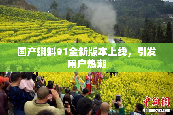 国产蝌蚪91全新版本上线，引发用户热潮