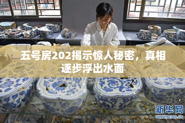 五号房202揭示惊人秘密，真相逐步浮出水面