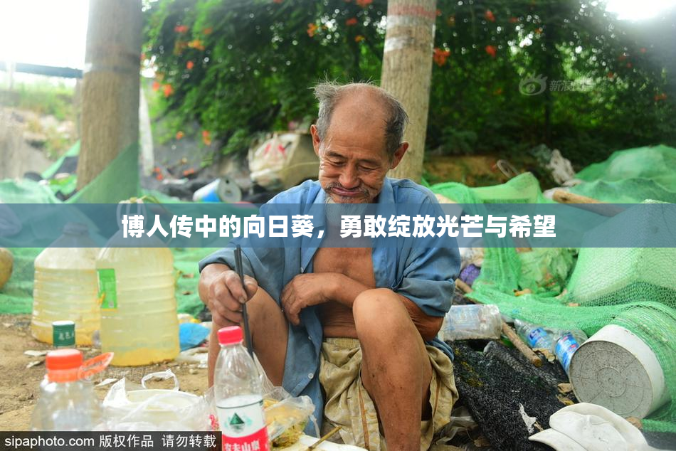 博人传中的向日葵，勇敢绽放光芒与希望