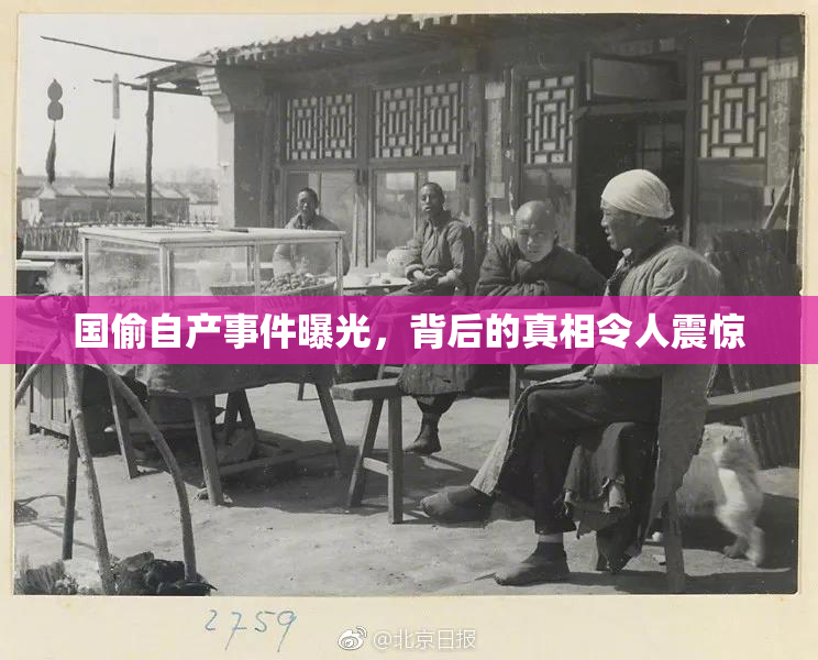 国偷自产事件曝光，背后的真相令人震惊