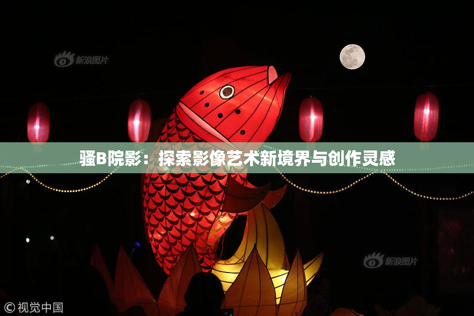 骚B院影：探索影像艺术新境界与创作灵感