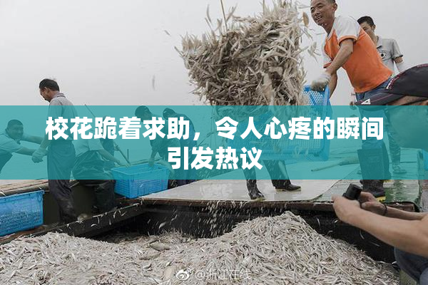 校花跪着求助，令人心疼的瞬间引发热议