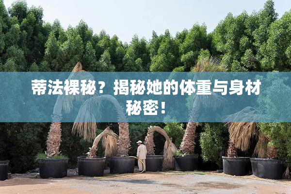 蒂法裸秘？揭秘她的体重与身材秘密！