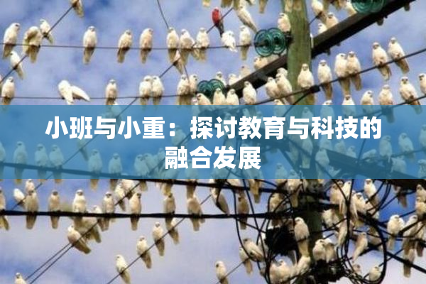 小班与小重：探讨教育与科技的融合发展