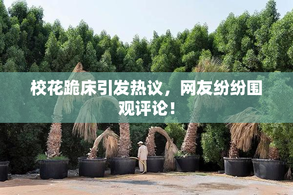 校花跪床引发热议，网友纷纷围观评论！