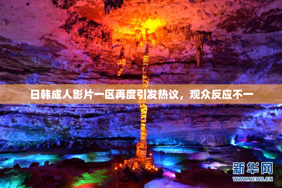 日韩成人影片一区再度引发热议，观众反应不一