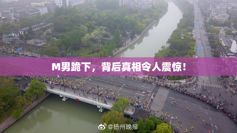 M男跪下，背后真相令人震惊！