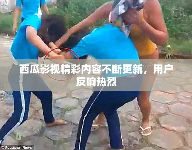 西瓜影视精彩内容不断更新，用户反响热烈