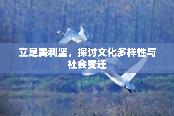 立足美利坚，探讨文化多样性与社会变迁