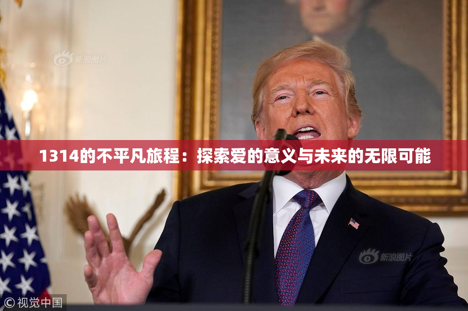 1314的不平凡旅程：探索爱的意义与未来的无限可能