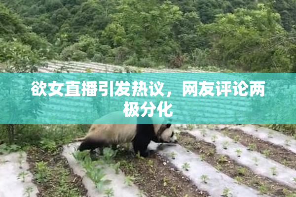 欲女直播引发热议，网友评论两极分化