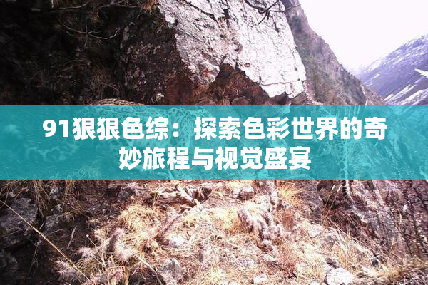 91狠狠色综：探索色彩世界的奇妙旅程与视觉盛宴