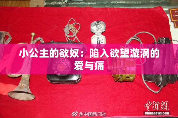 小公主的欲奴：陷入欲望漩涡的爱与痛