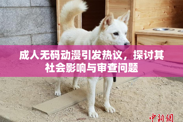成人无码动漫引发热议，探讨其社会影响与审查问题
