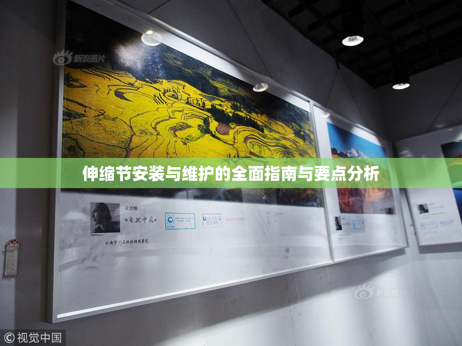 伸缩节安装与维护的全面指南与要点分析