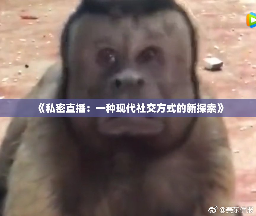 《私密直播：一种现代社交方式的新探索》