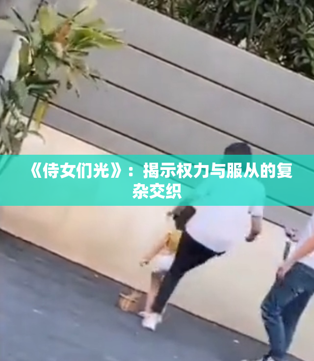 《侍女们光》：揭示权力与服从的复杂交织