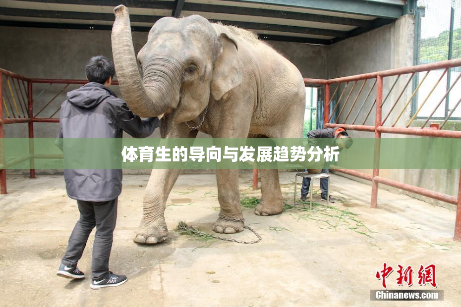 体育生的导向与发展趋势分析
