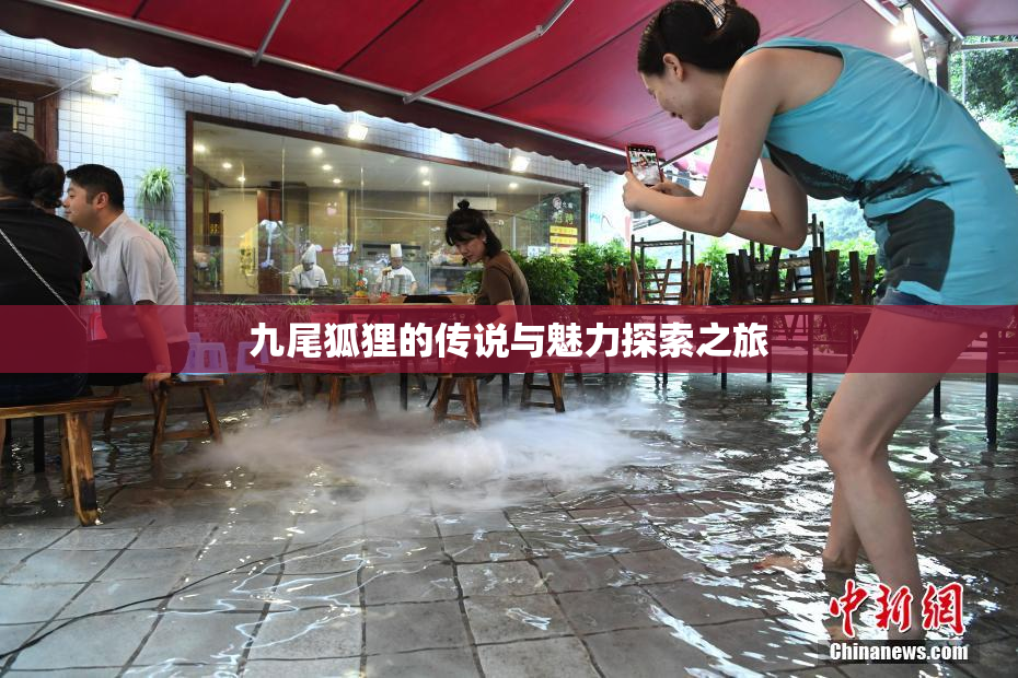 九尾狐狸的传说与魅力探索之旅