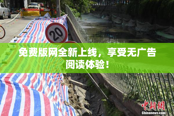 免费版网全新上线，享受无广告阅读体验！