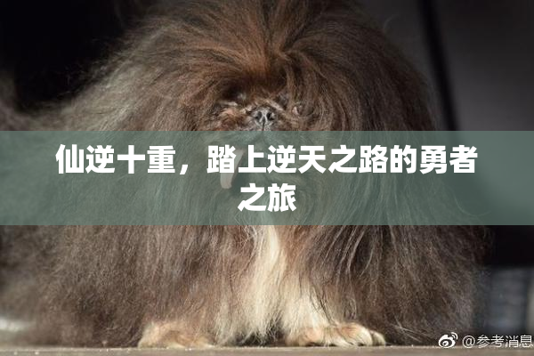仙逆十重，踏上逆天之路的勇者之旅