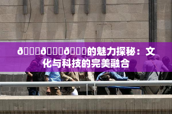 🍆🍑🔞的魅力探秘：文化与科技的完美融合
