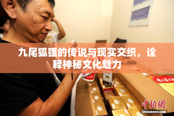 九尾狐狸的传说与现实交织，诠释神秘文化魅力