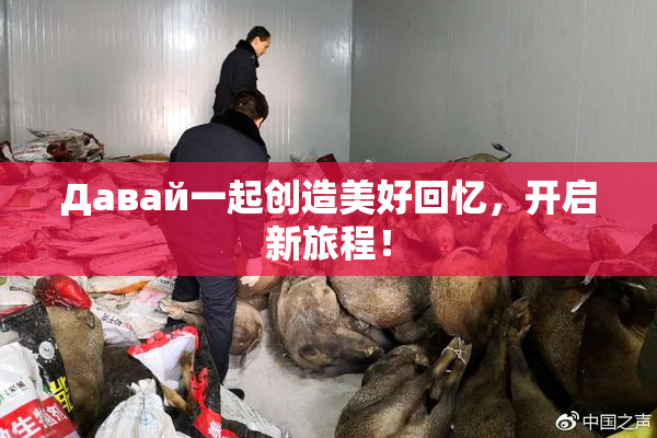 Давай一起创造美好回忆，开启新旅程！