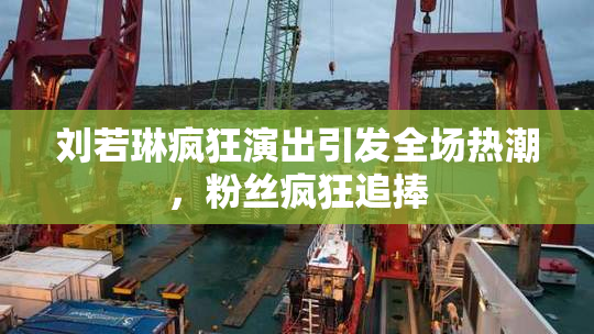 刘若琳疯狂演出引发全场热潮，粉丝疯狂追捧