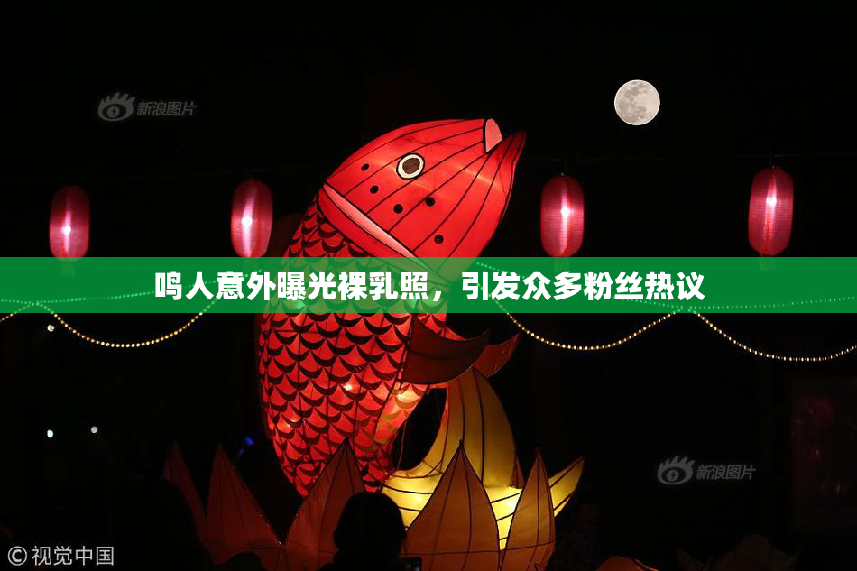 鸣人意外曝光裸乳照，引发众多粉丝热议