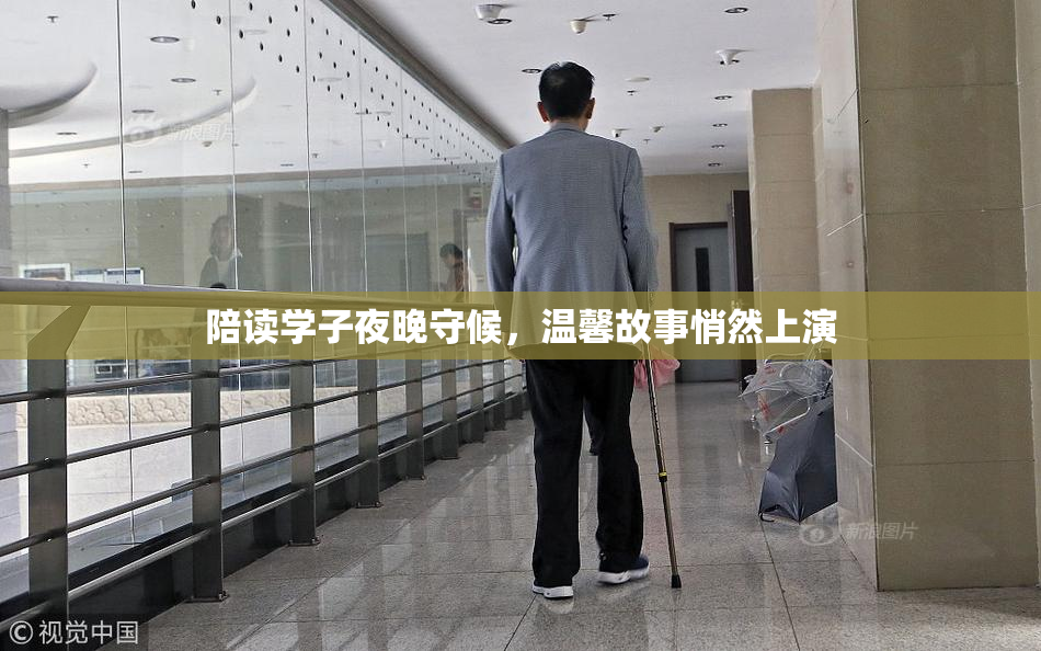 陪读学子夜晚守候，温馨故事悄然上演