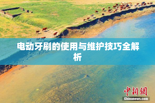 电动牙刷的使用与维护技巧全解析