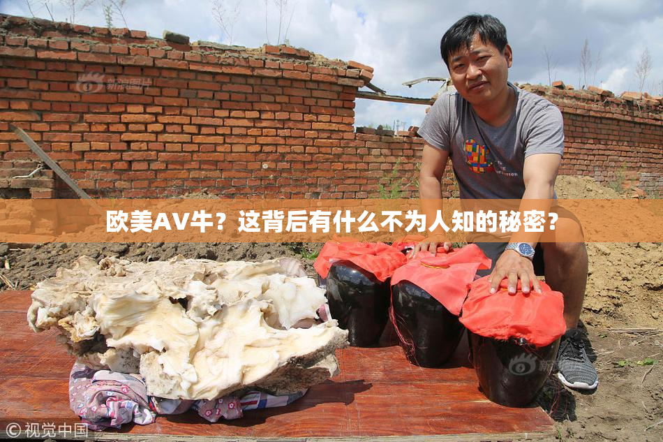 欧美AV牛？这背后有什么不为人知的秘密？