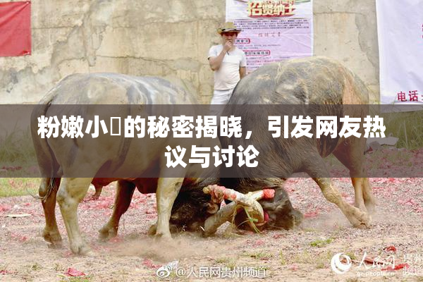 粉嫩小泬的秘密揭晓，引发网友热议与讨论