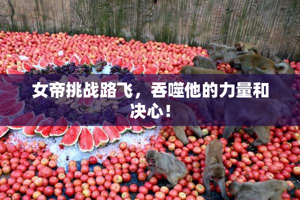 女帝挑战路飞，吞噬他的力量和决心！