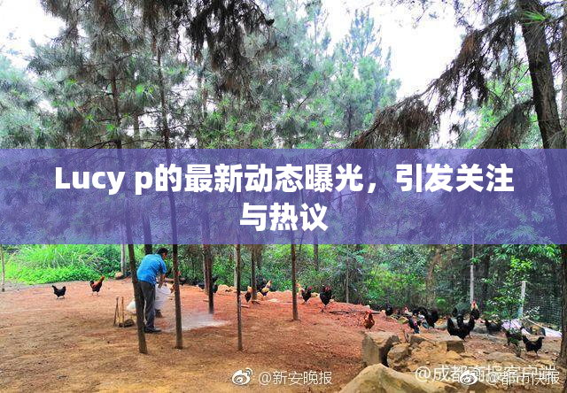 Lucy p的最新动态曝光，引发关注与热议