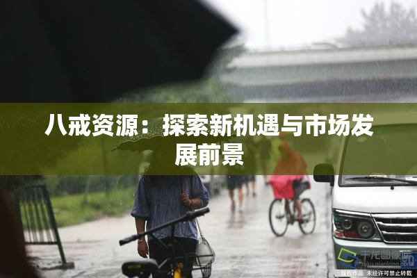 八戒资源：探索新机遇与市场发展前景