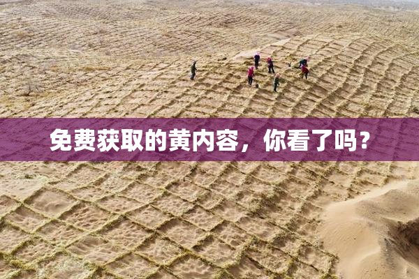 免费获取的黄内容，你看了吗？