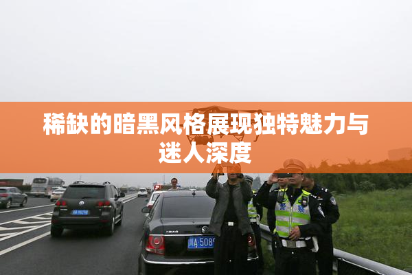 稀缺的暗黑风格展现独特魅力与迷人深度