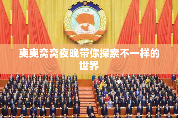 爽爽窝窝夜晚带你探索不一样的世界